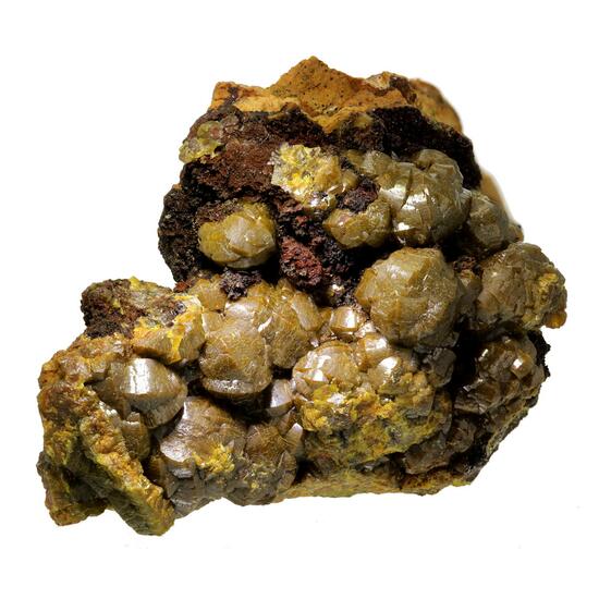 Campylite