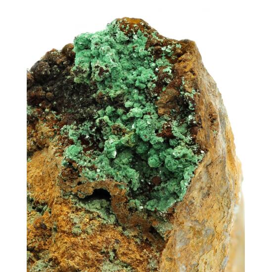 Torbernite