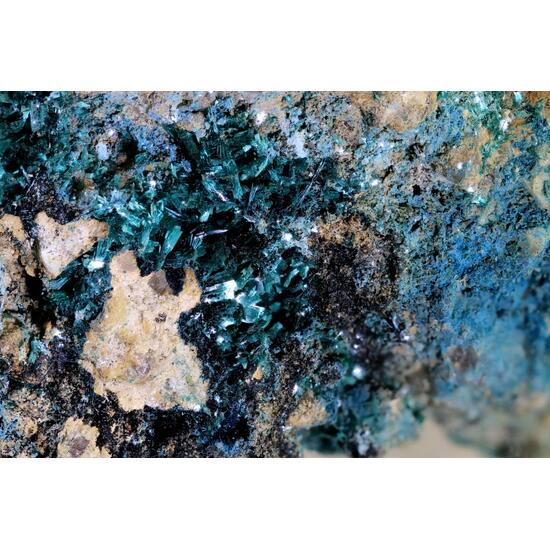 Botallackite & Connellite