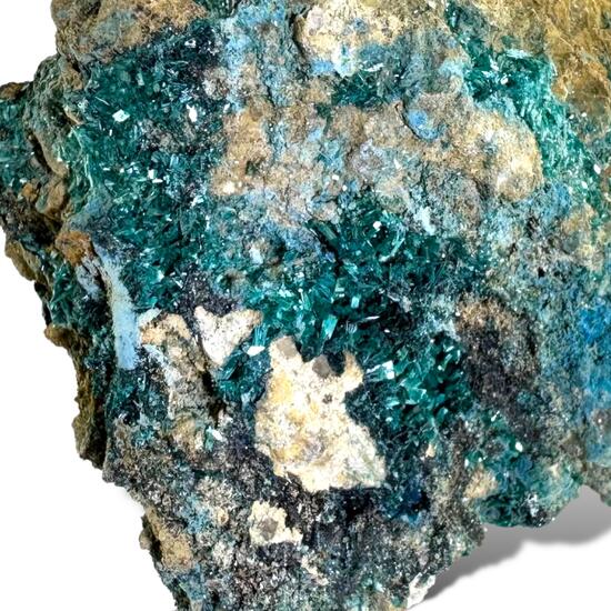 Botallackite & Connellite