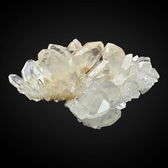 Japan Law Quartz