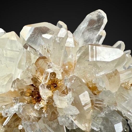 Japan Law Quartz