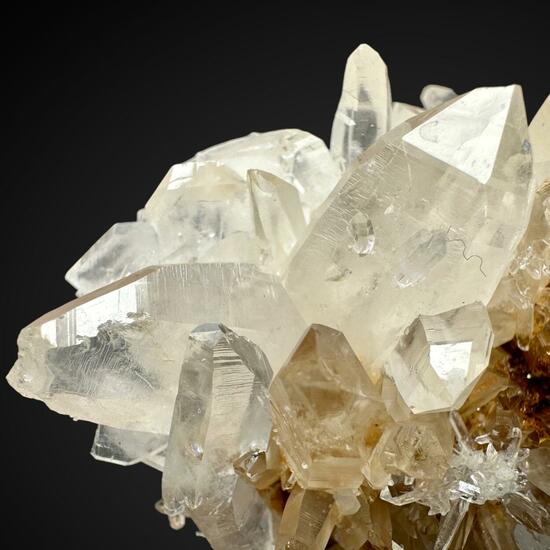 Japan Law Quartz