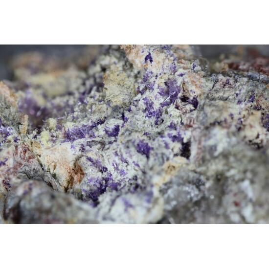 Elyite