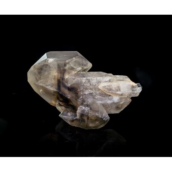 Sceptre Smoky Quartz