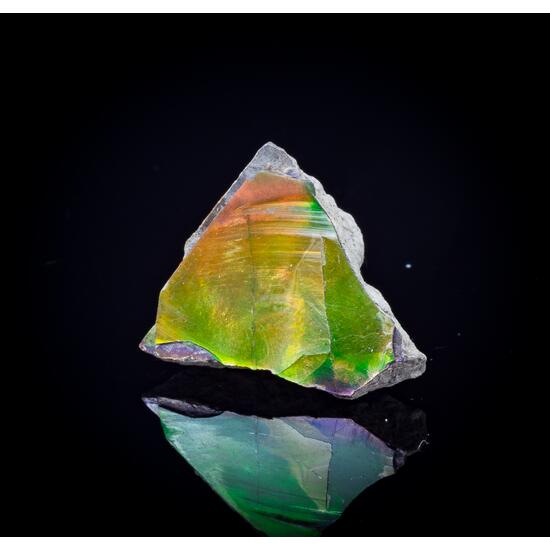 Ammolite