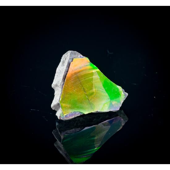 Ammolite