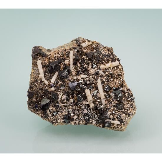 Magnetite & Hydroxylapatite