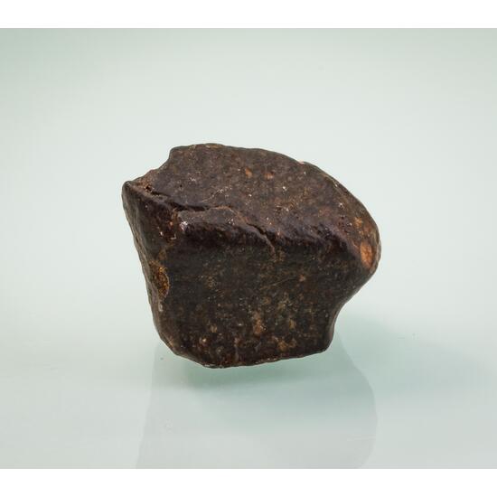 Meteorite Var NWA