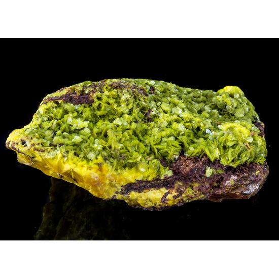 Autunite