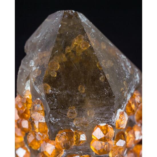 Spessartine & Smoky Quartz On Feldspar