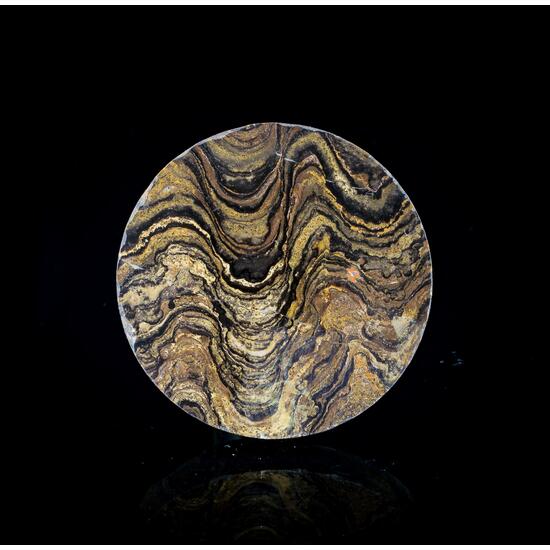 Fossil Stromatolite