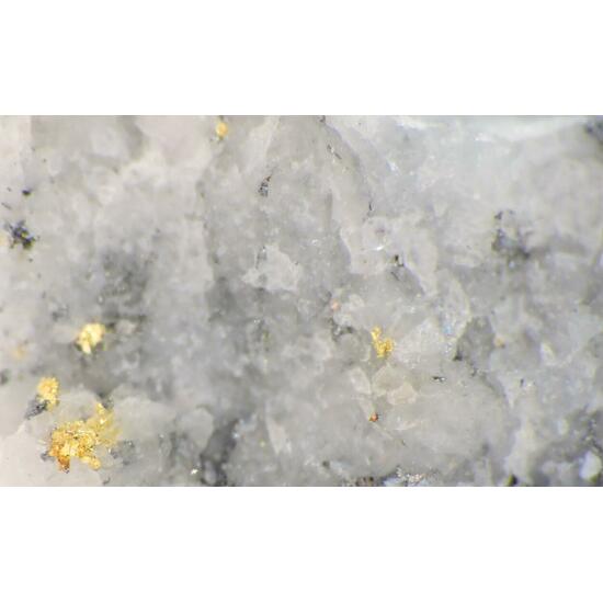 Gold With Tellurides