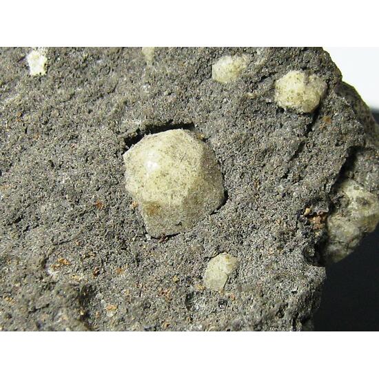 Leucite