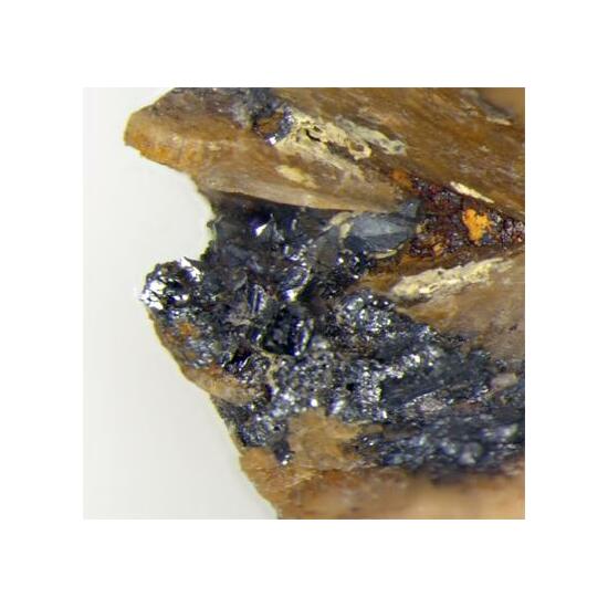 Xanthoconite