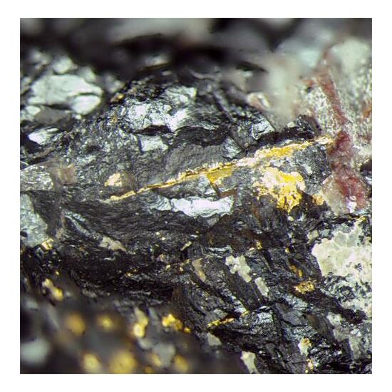 Gold In Uraninite