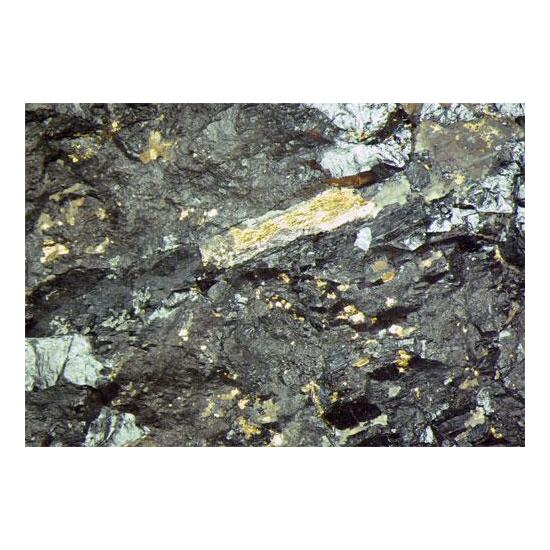 Gold In Uraninite