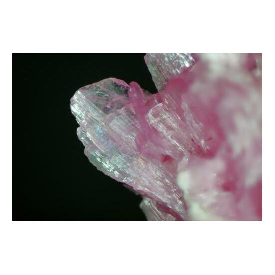 Rhodonite Calcite & Pyrrhotite