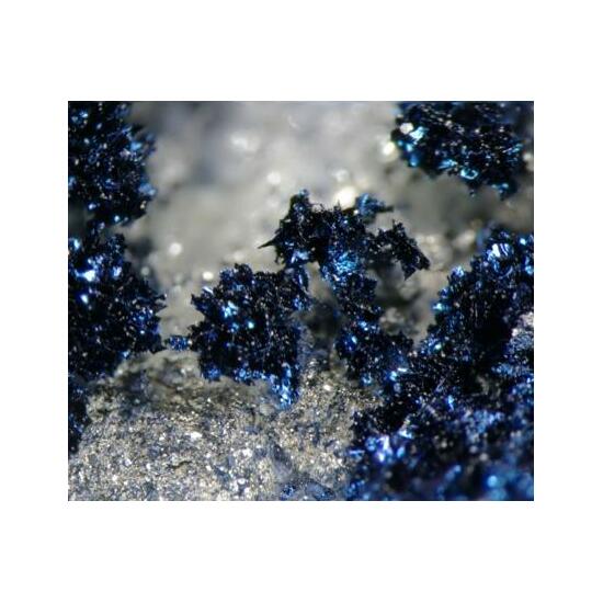 Covellite