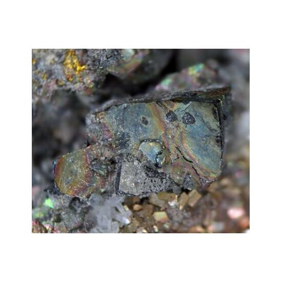 Freibergite Chalcopyrite Pyrite