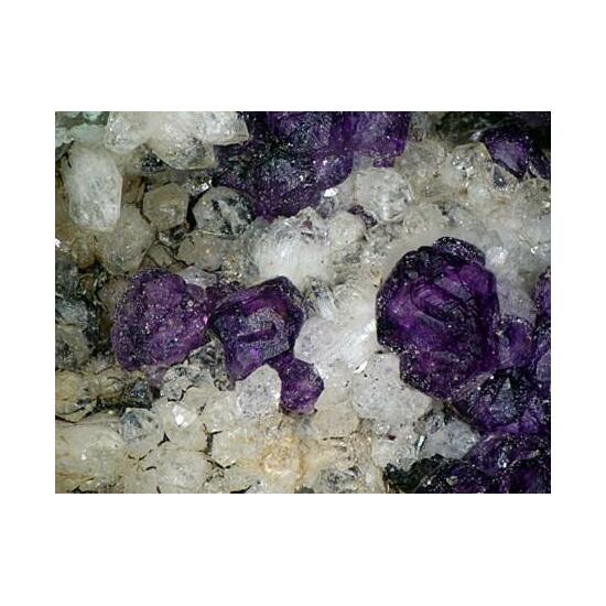 Fluorite & Fluorapatite