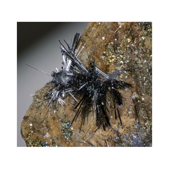 Stibnite & Chalcopyrite