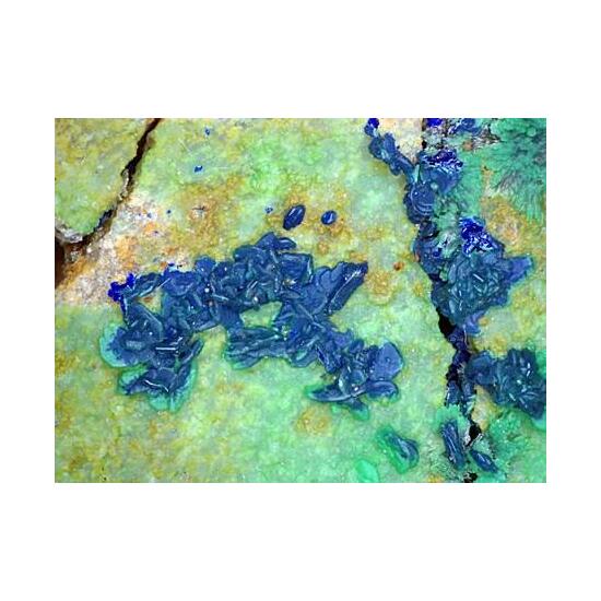 Conichalcite Psm Azurite & Olivenite