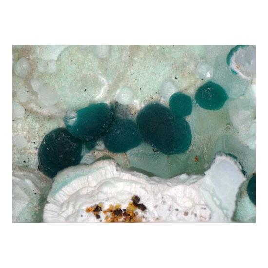 Rosasite & Hemimorphite