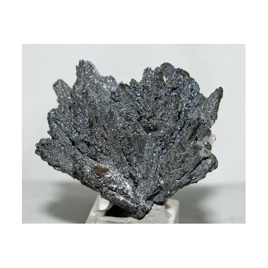 Tennantite Psm Stibnite