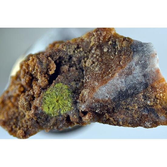 Rodalquilarite & Jarosite