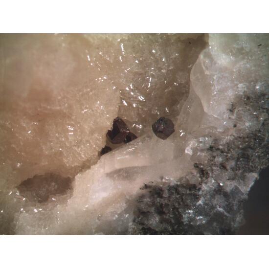 Vaesite