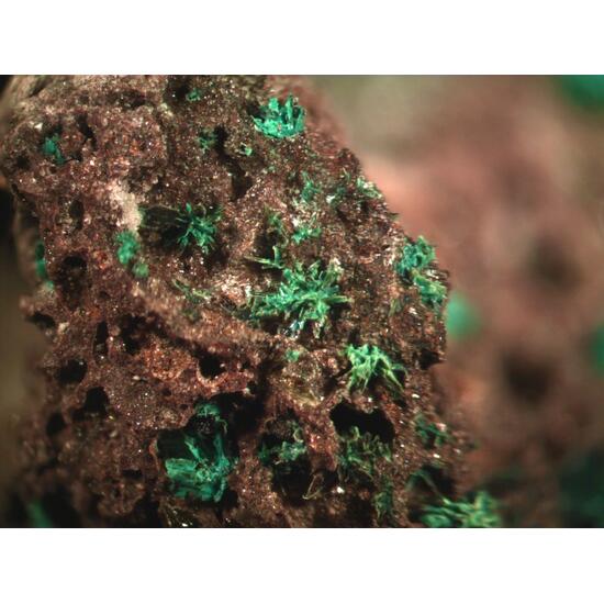 Paratacamite & Tenorite