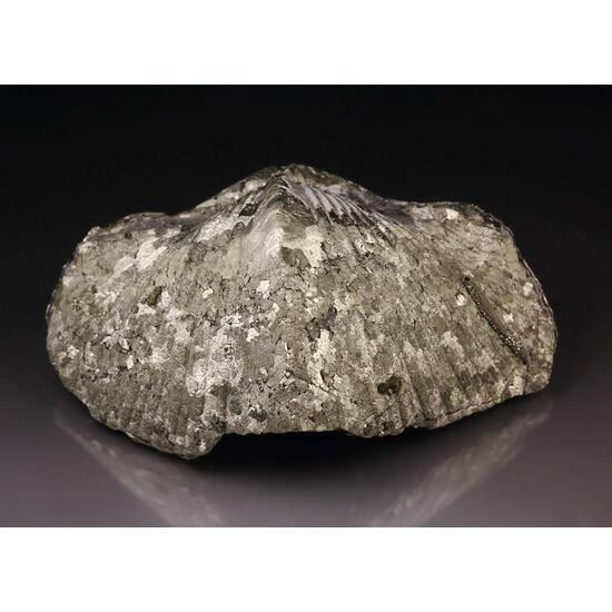 Pyrite Psm Shell