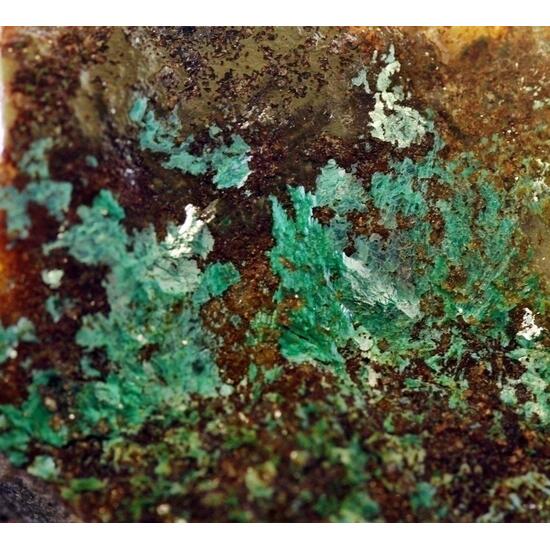 Chalcophyllite