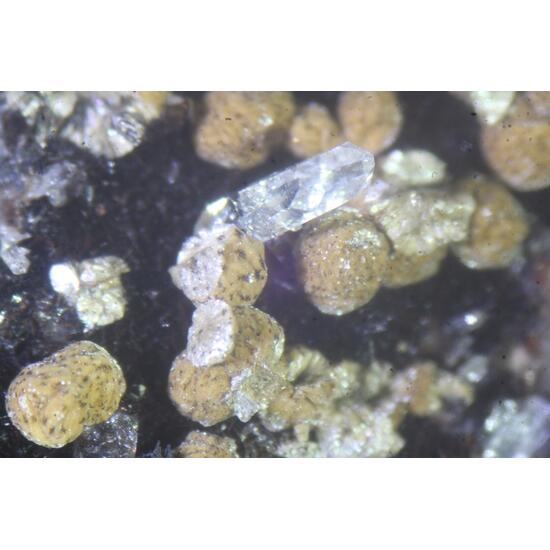 Pennantite Ganophyllite