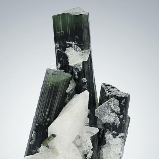 Tourmaline With Albite