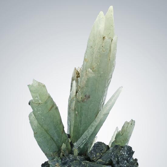 Prase With Hematite