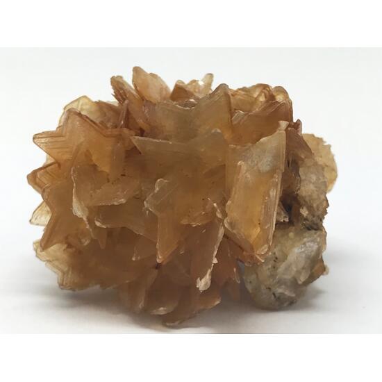 Muscovite