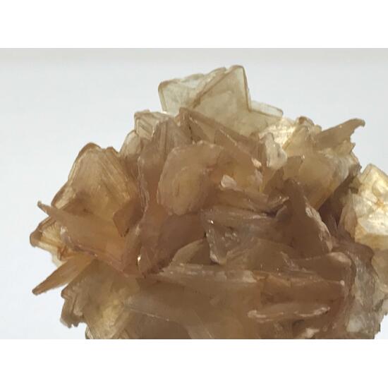 Muscovite