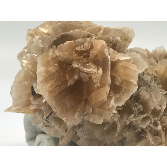 Gypsum