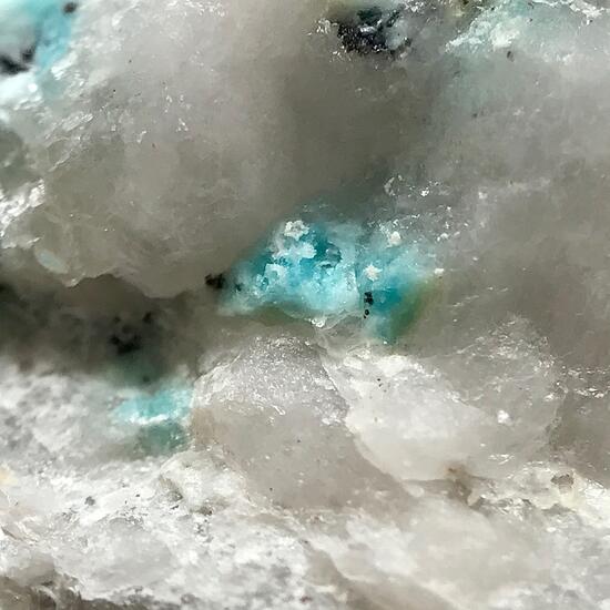 Turquoise