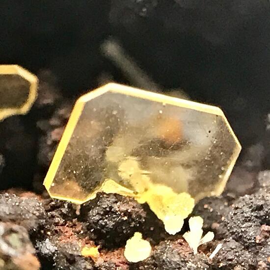 Wulfenite