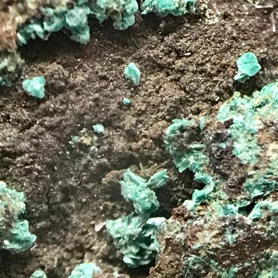 Paratacamite