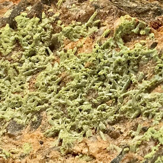 Pyromorphite