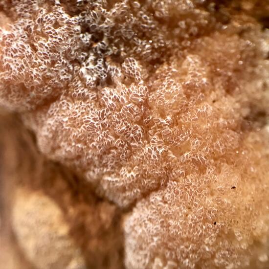 Wavellite