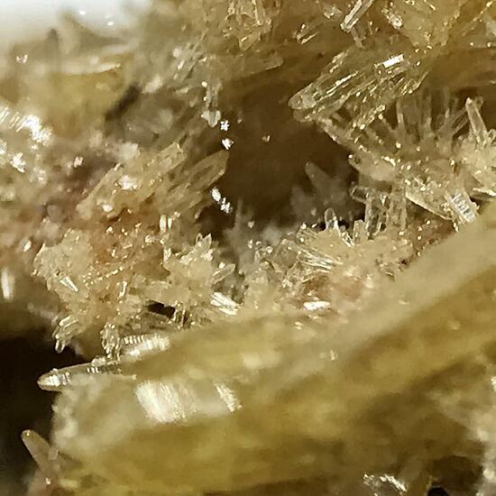 Mimetite