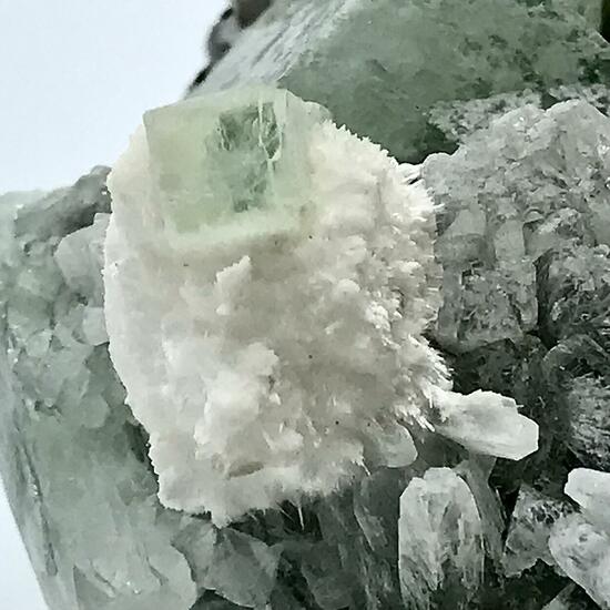 Fluorapophyllite