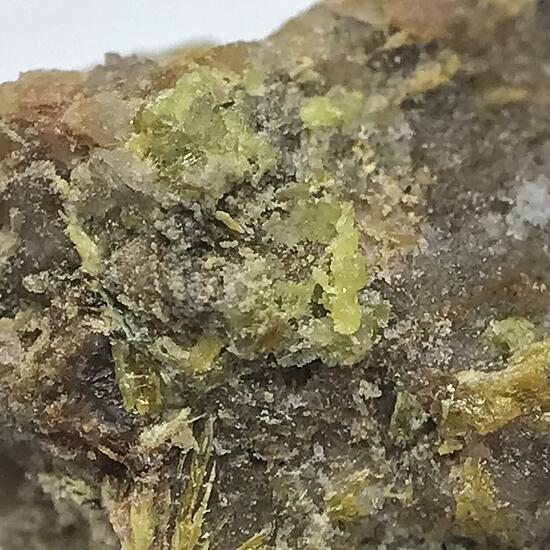 Walpurgite