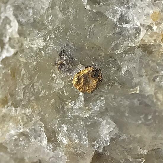 Gold