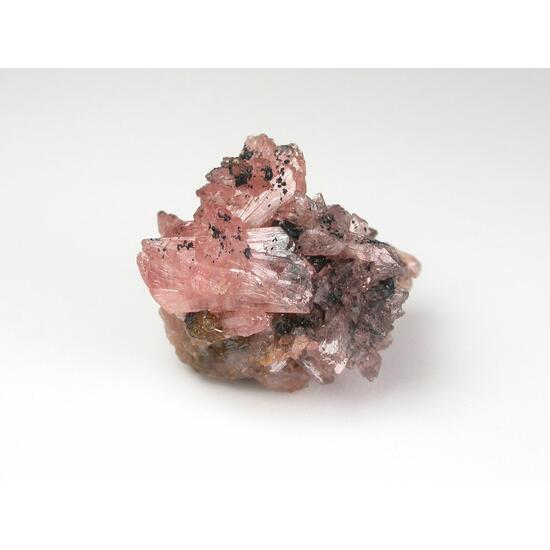 Rockbridgeite Hureaulite & Correianevesite